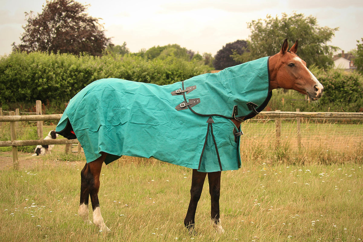 Canvas Turnout Rug New Zealand 18oz Wool Lined Rug AniMac