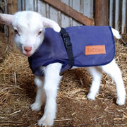 Canvas Lamb Coat | Wool Lined