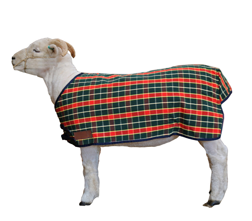 Travel & Show Coat | Sheep & Lamb Coats | AniMac Animal Wear