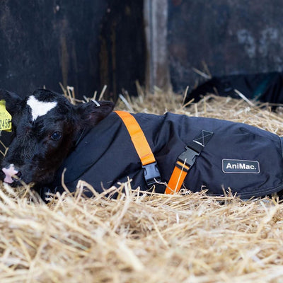 HOW TO CARE FOR YOUR CALF JACKET
