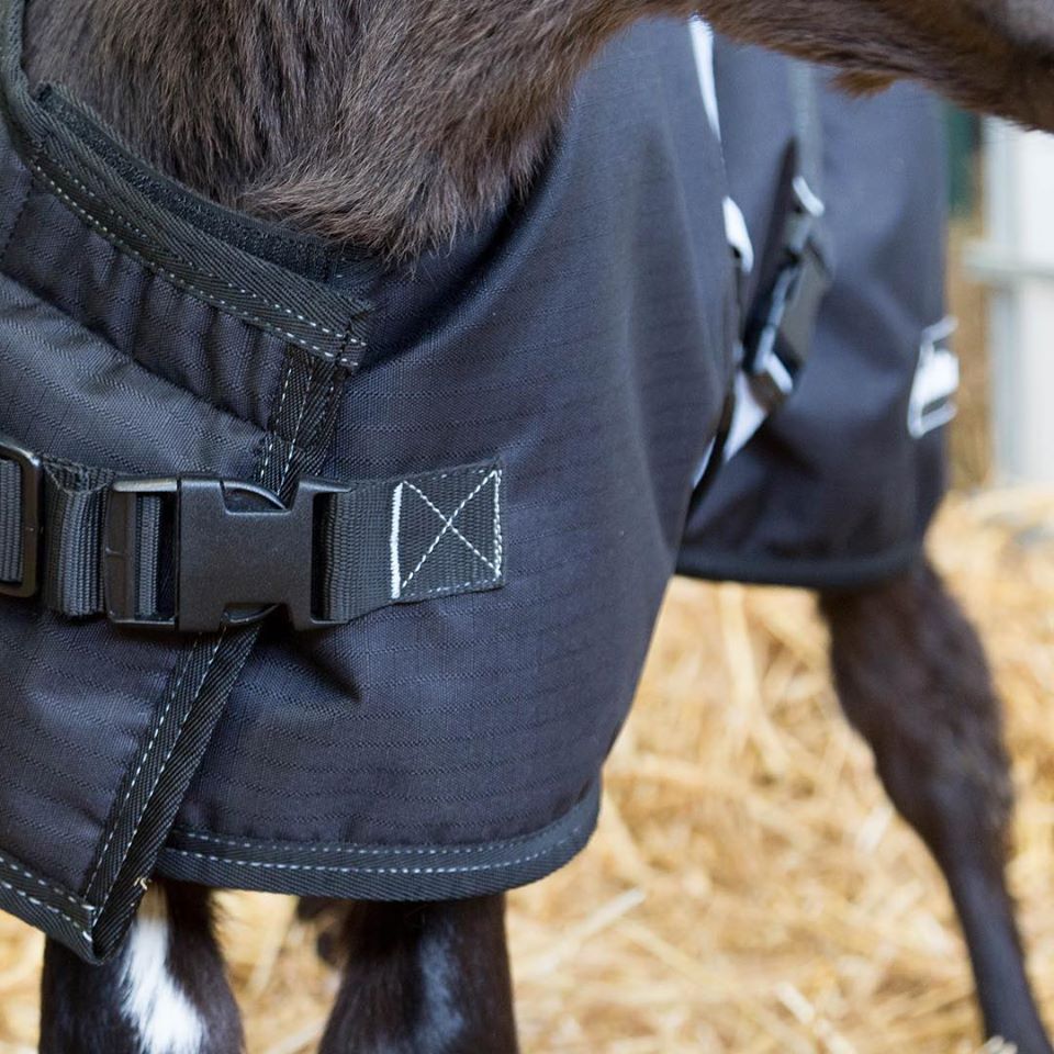 AniMac Super Jacket Details – Calf, Sheep, Goat &amp; Alpaca Coats