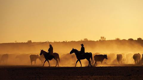 7 of the biggest farms in the world