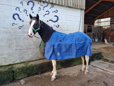 What Rug Should You Put on Your Horse?