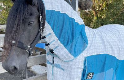 Fly rugs for horses with big shoulders