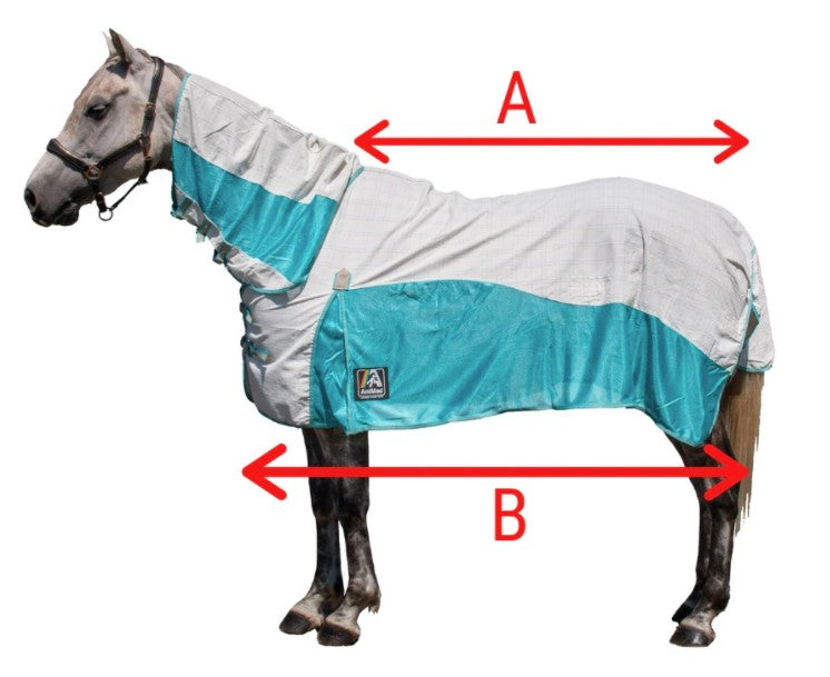 How to measure a horse for a rug AniMac Animal Wear