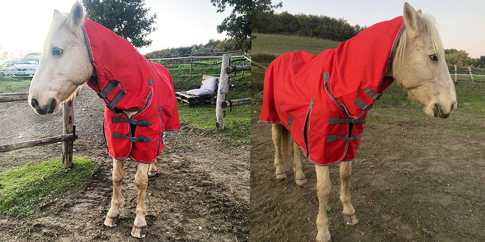 Experience Ultimate Comfort and Durability: AniMac's AIRFLOW BETWEEN COMBO