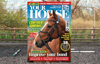 'Your Horse' Magazine reviews the AniMac All Rounder fly rug
