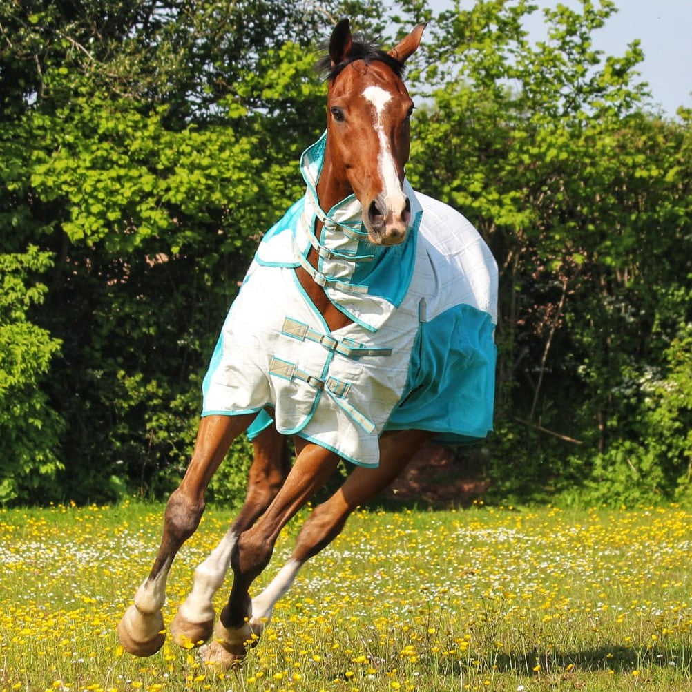 AniMac Fly Rug for Horses