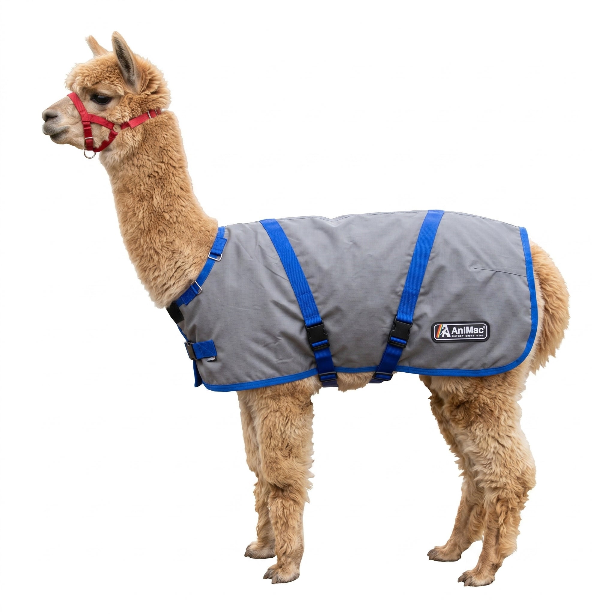 light weight alpaca coat