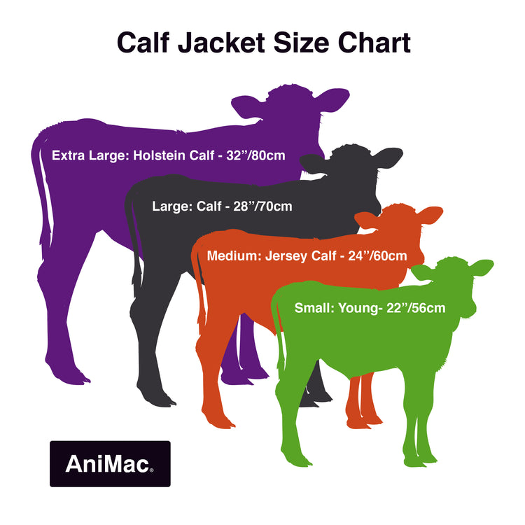 Four illustrated calves show Super Calf Jacket | Waterproof sizes: Extra Large (Holstein, 32/80cm), Large (28/70cm), Medium (Jersey, 24/60cm), and Small (Young, 22/56cm)—each features a waterproof calf coat.
