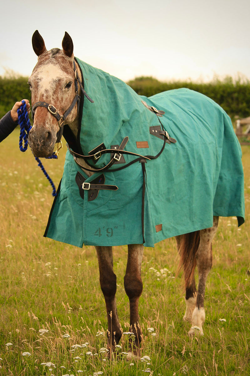 Canvas Turnout Rug | New Zealand 18oz Wool Lined Rug – AniMac