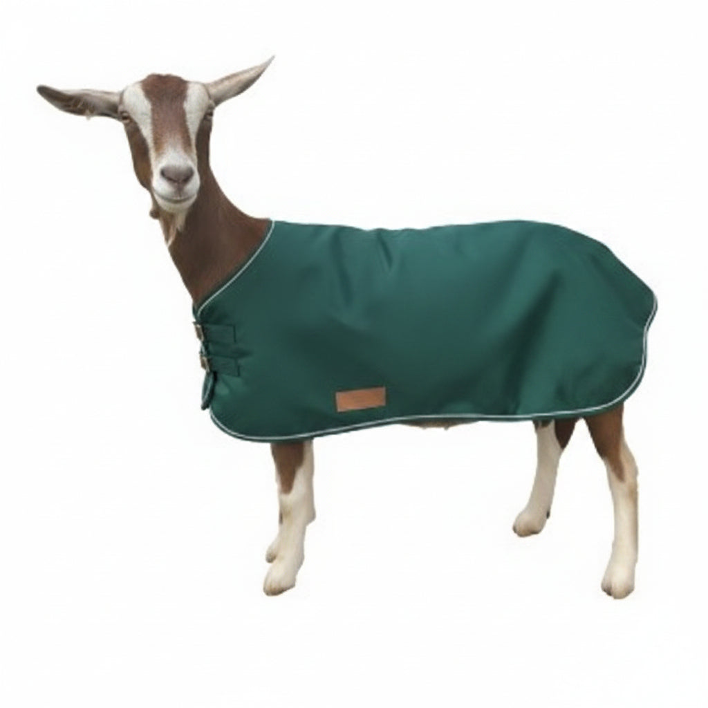 Sheep Coats & Lamb Jackets | AniMac Animal Coats
