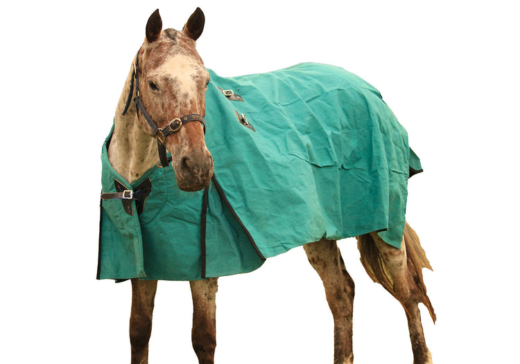 New Zealand Canvas Turnout Horse Rug AniMac