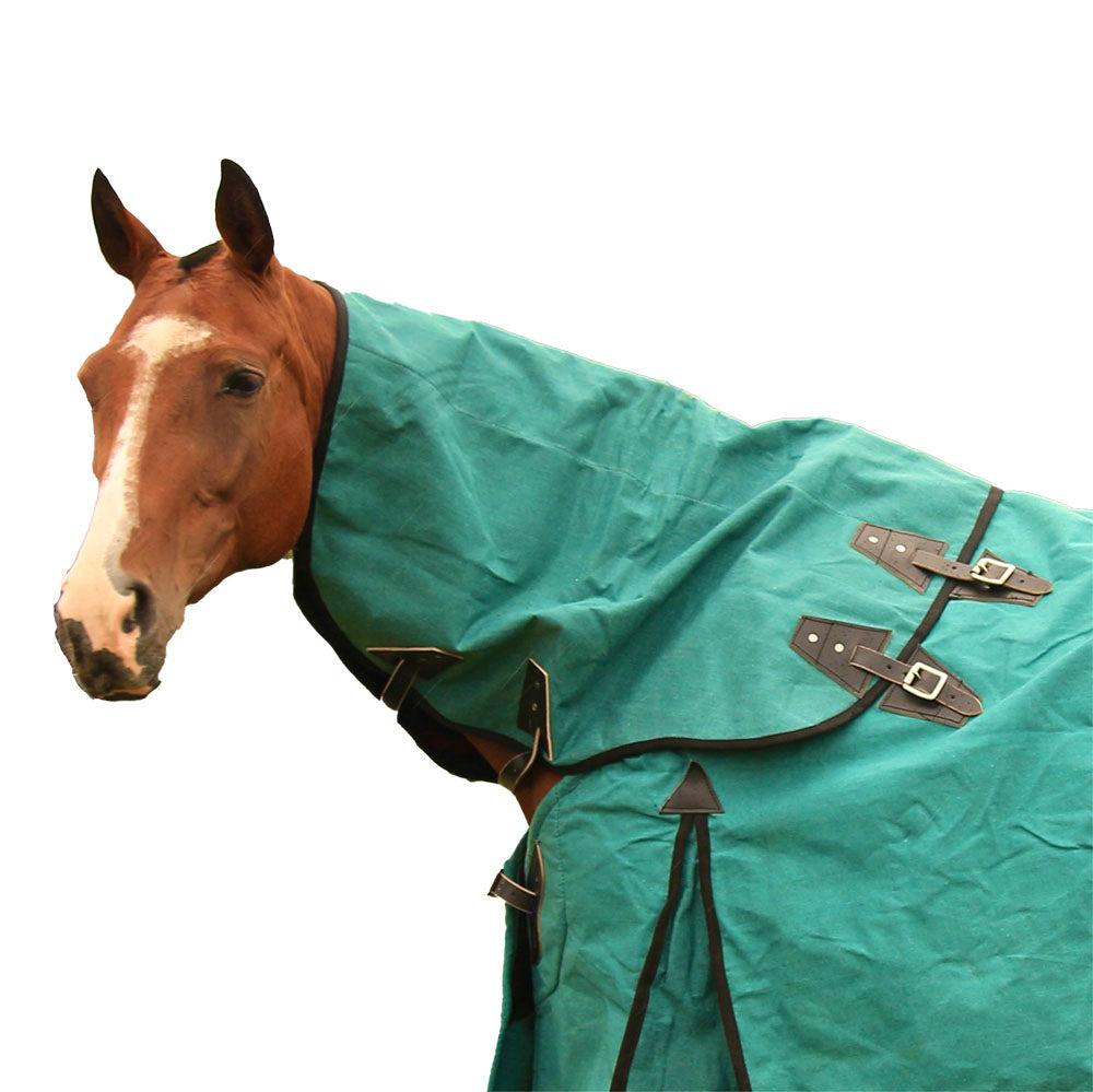 A brown horse wears the AniMac Neck Cover | NZ 18oz Canvas and Wool Lining in Hunter Green, a full-body blanket with buckles and straps, against a plain white background.