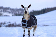 AniMac Sheep Coat