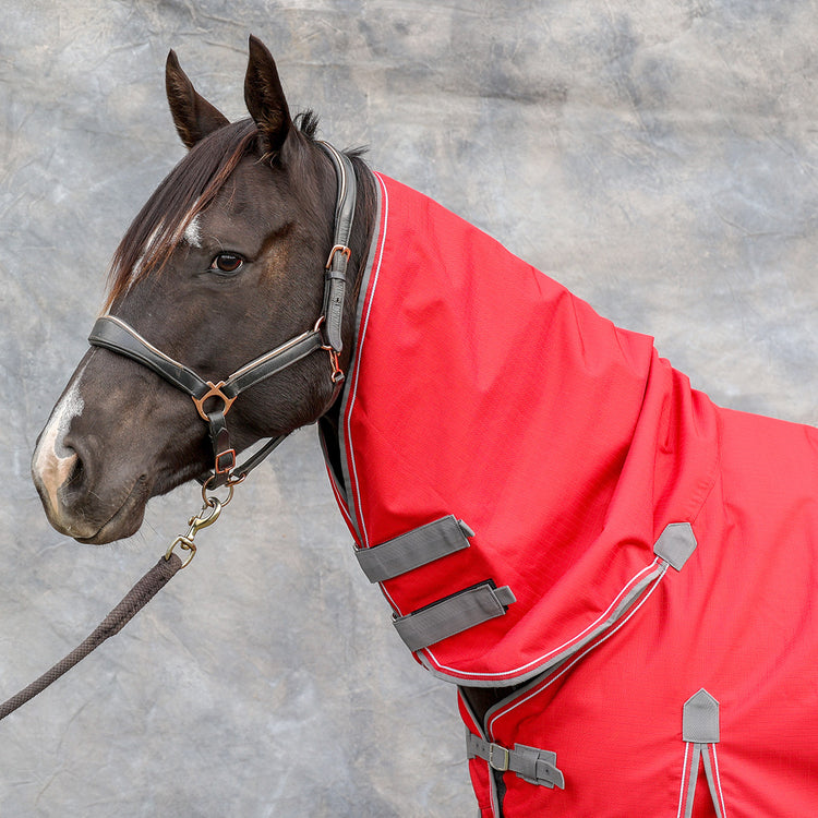 A dark brown horse wears a black halter and the bright red Airflow Between Combo Waterproof Lightweight Turnout with gray straps, standing before a neutral gray backdrop.