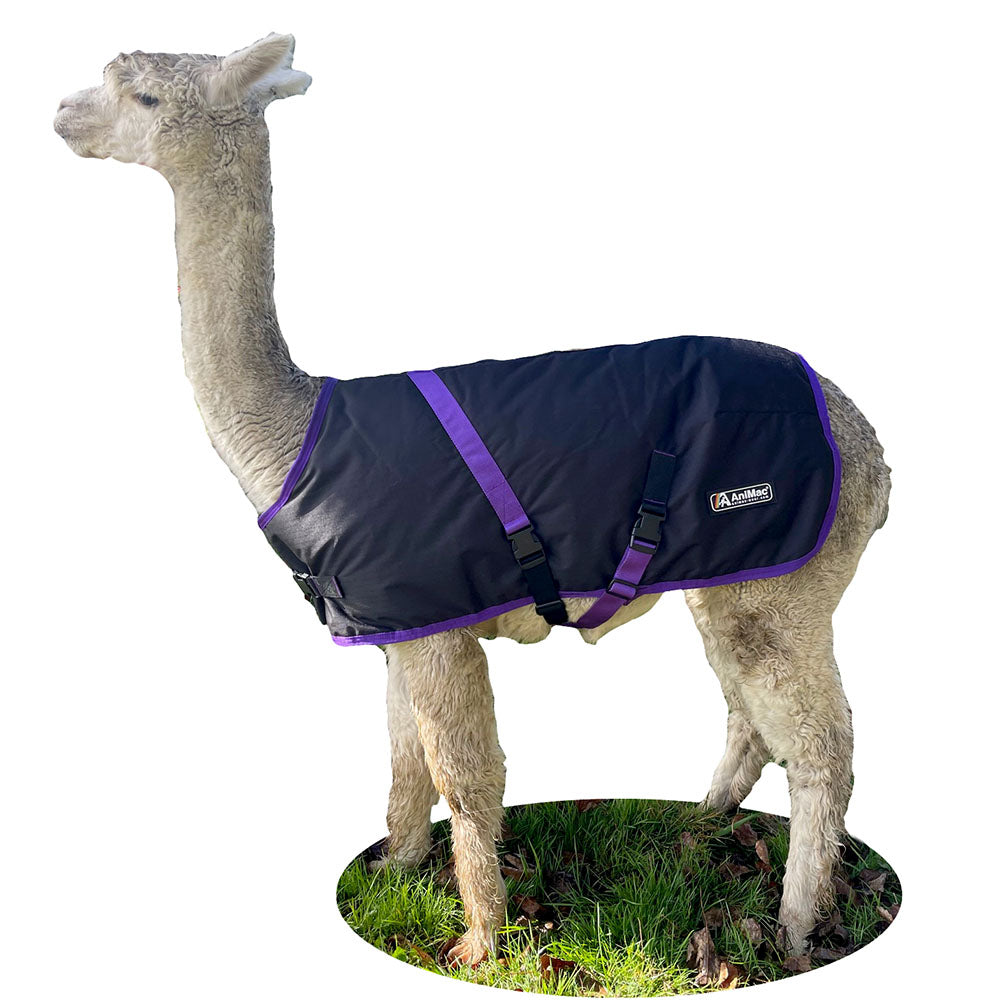 Alpaca Coat AniMac Waterproof