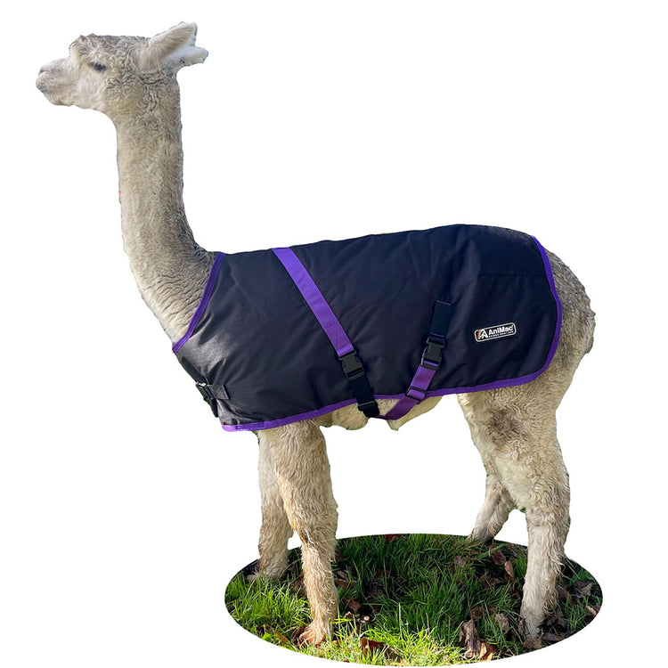 Alpaca Coat AniMac Waterproof