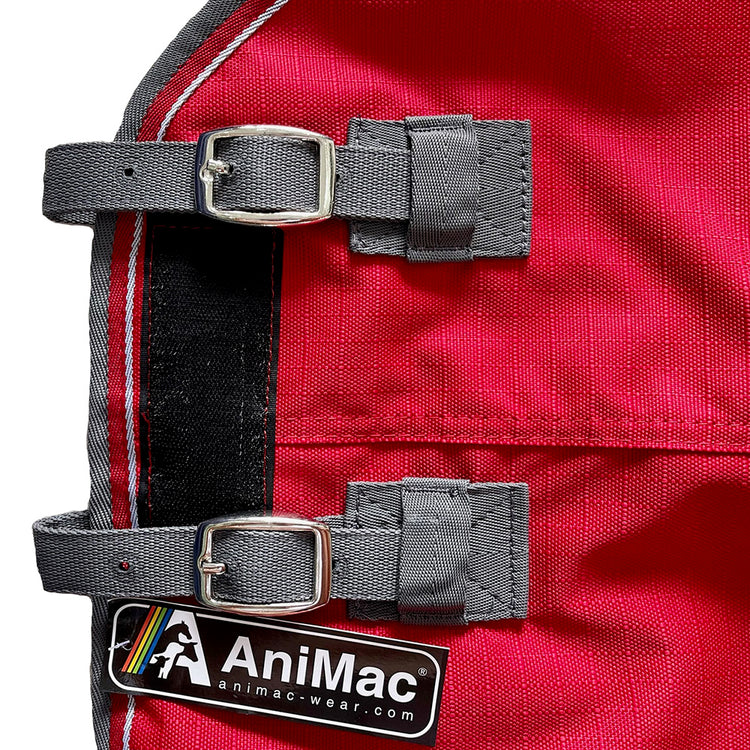 Close-up of two grey buckle straps on the red Airflow Between Combo | Waterproof Lightweight Turnout with black trim. A rectangular AniMac logo tag with a rainbow stripe and website appears at the bottom left corner.
