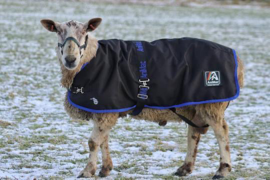 Waterproof Ram Rug | Animac Animal Wear – AniMac