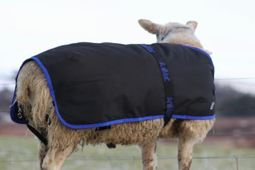 Waterproof Ram Rug | Animac Animal Wear – AniMac