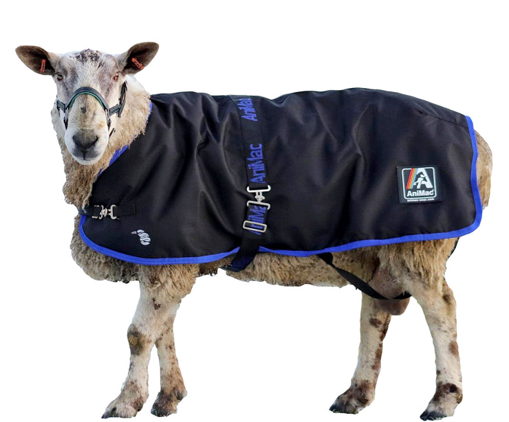 AniMac Sheep Ram Tup Coat
