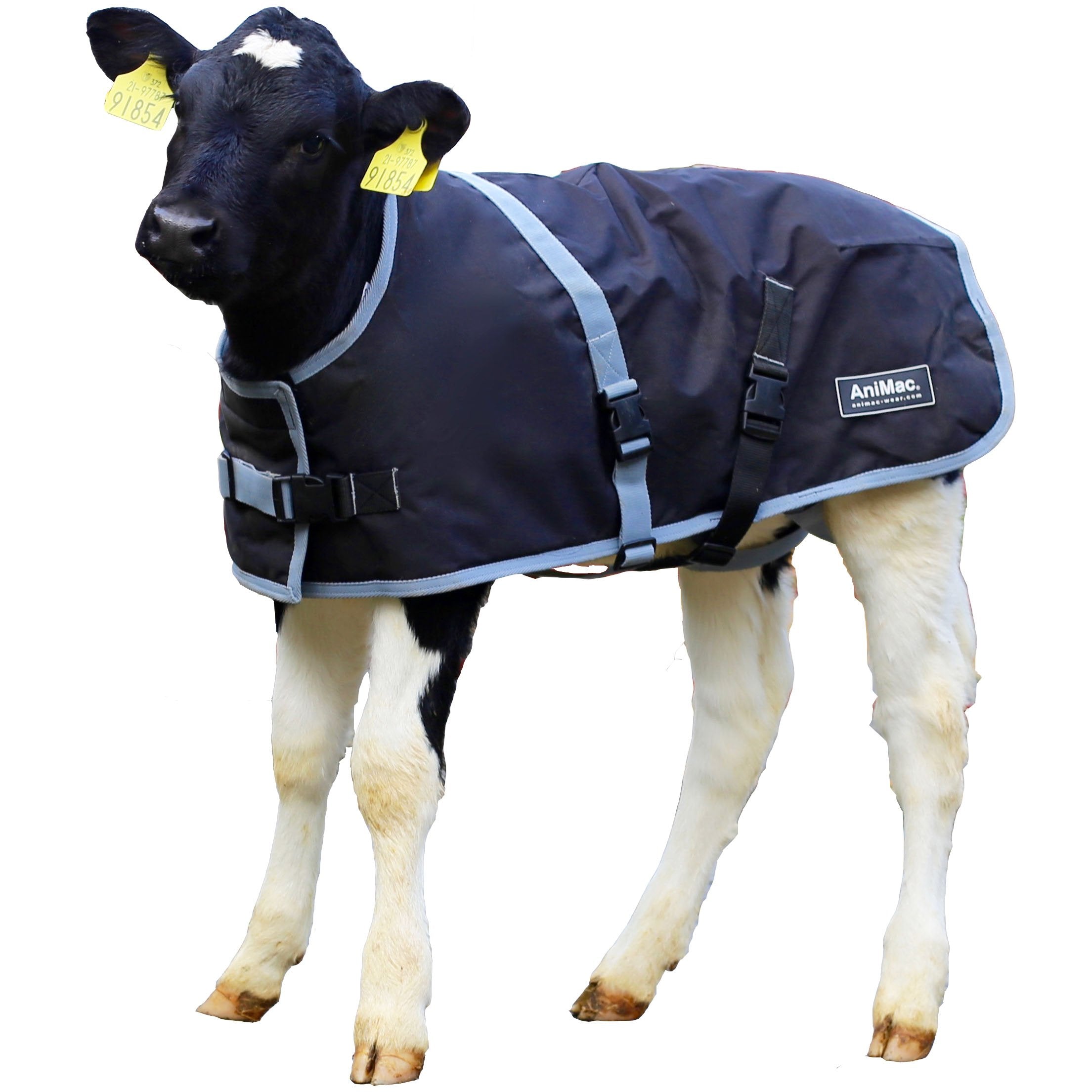 AniMac Calf Jacket