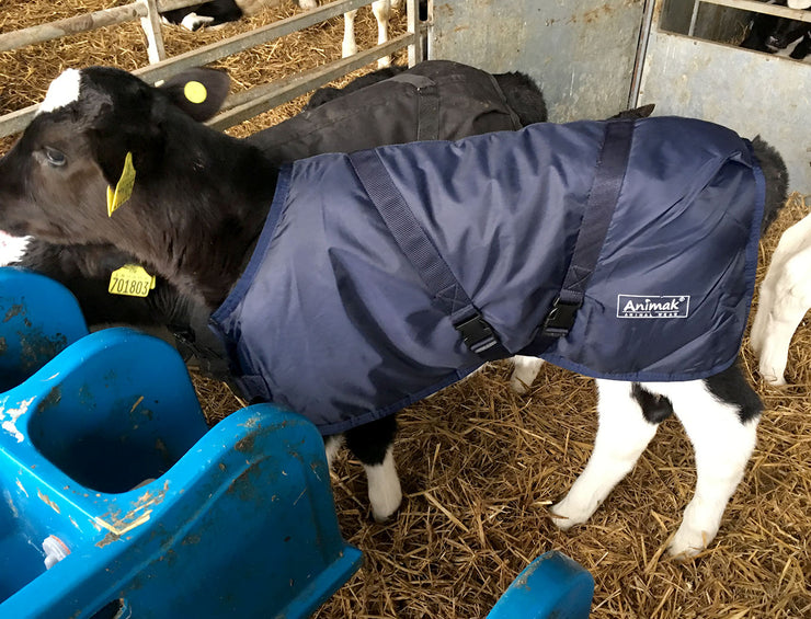 calf jacket ireland