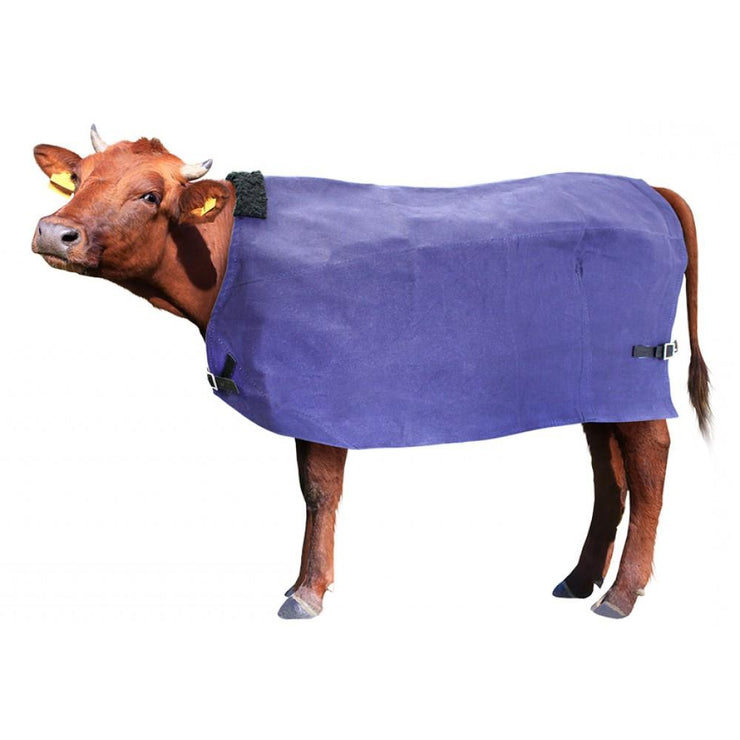 cow cover cow coat