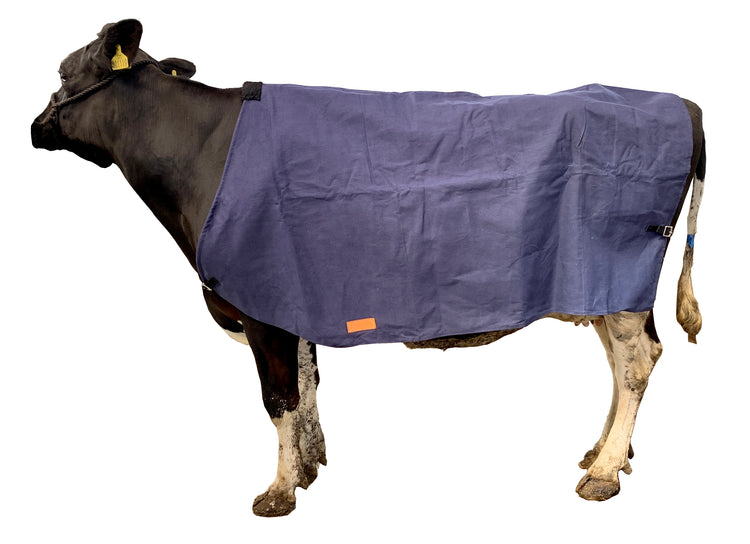 AniMac Cow Cover