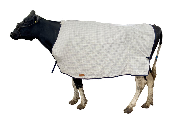 Cow Coat for shows heat stress flys