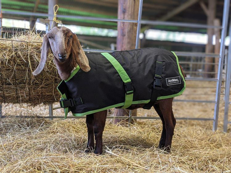 Goat Coat AniMac