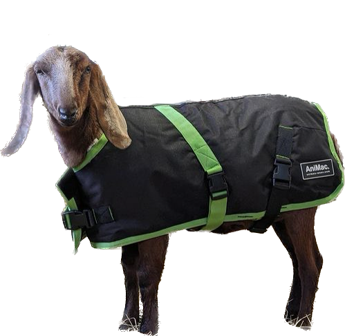 Sheep Coat | Waterproof – AniMac