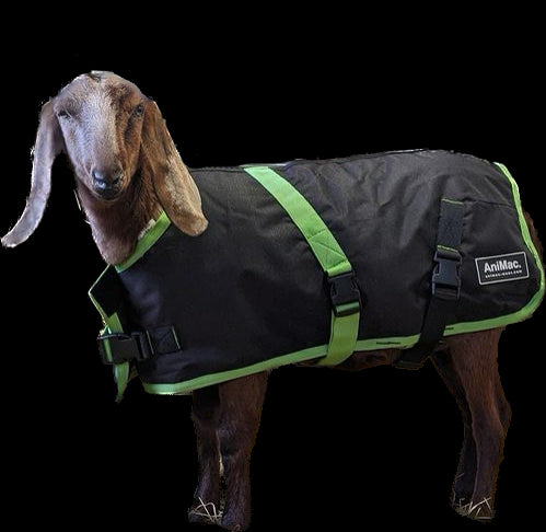 Waterproof coats for sheep sales