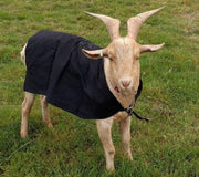goat coat Calf Blanket Calf Coat