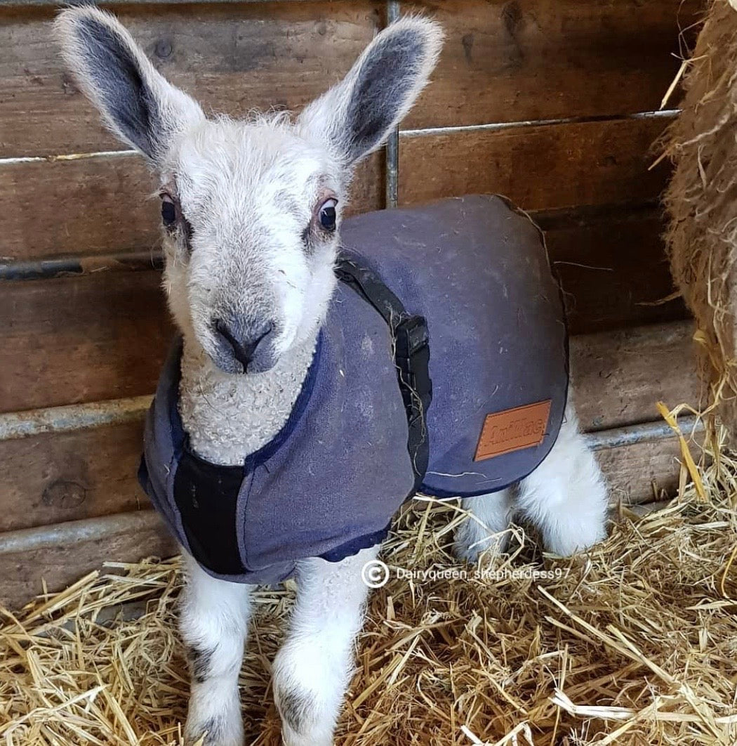 Canvas Lamb Coat Sheep Coat Goat Coat Kid Coat AniMac