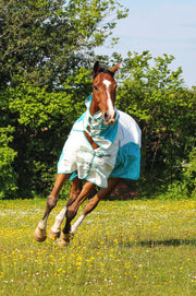 fly rug cotton 