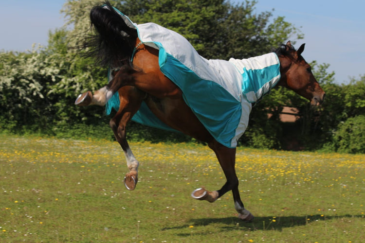 anti static fly rug