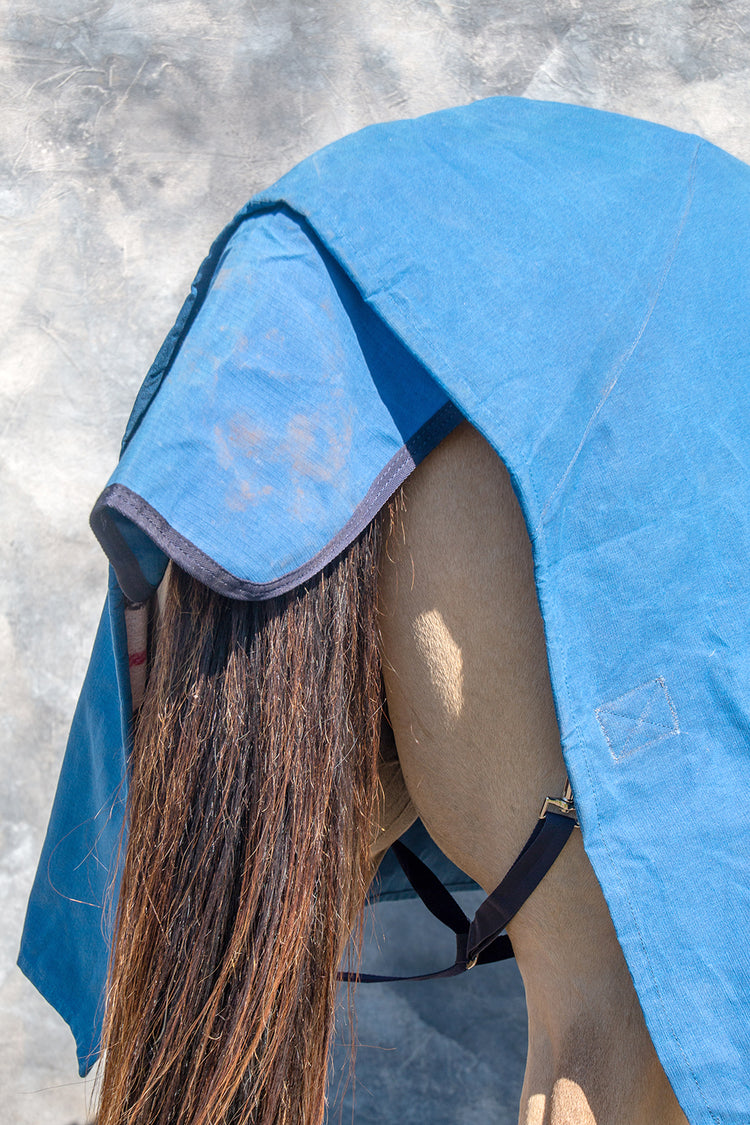 A close-up of a horse’s hindquarters and tail wearing the AniMac Canvas Turnout Rug | New Zealand 18oz Wool Lined Rug, shown against a gray textured background.
