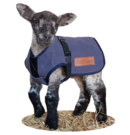 Canvas Lamb Coat | Sheep Coat | Goat Coat | Kid Coat | AniMac